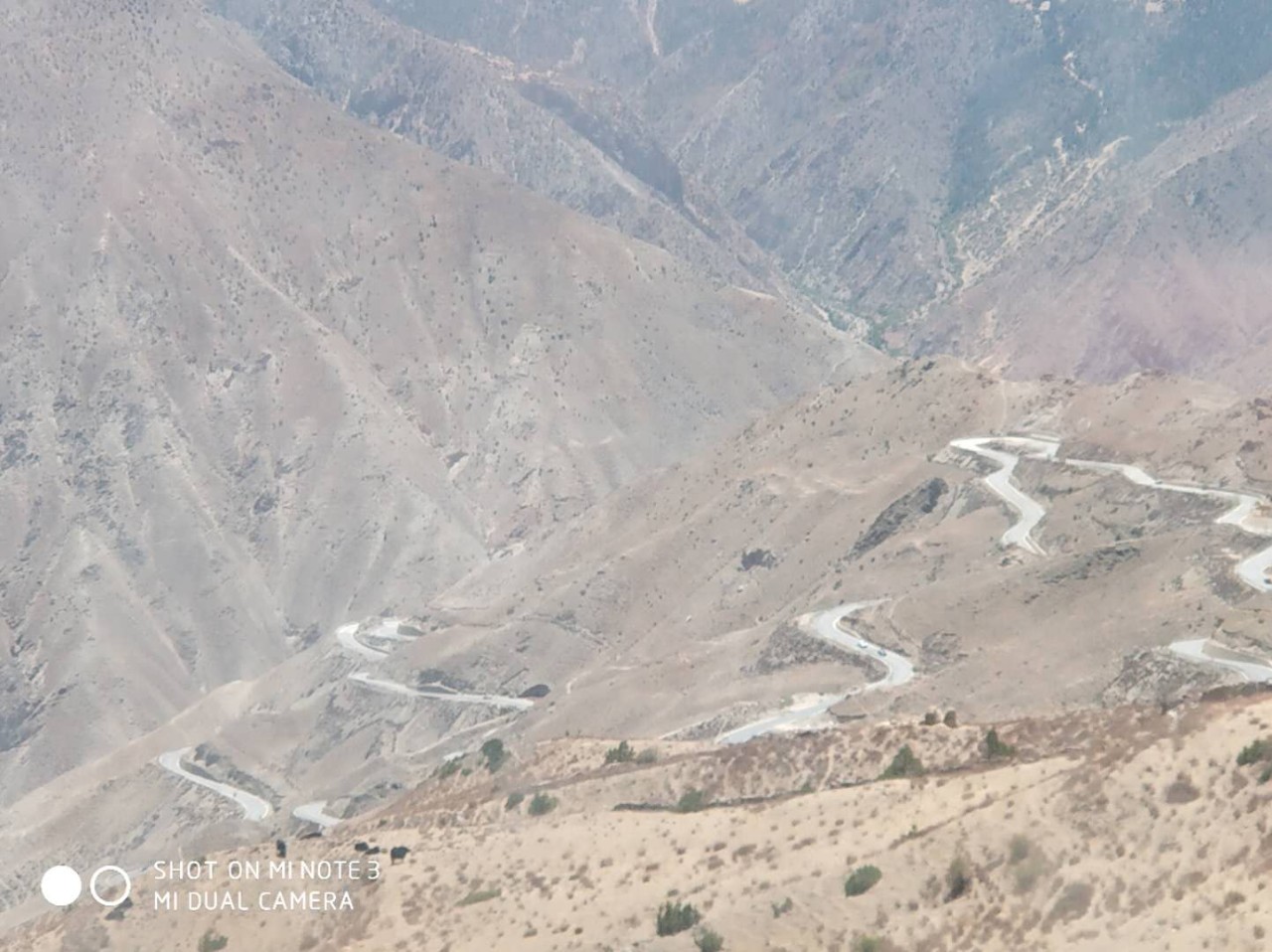 1546505869239087954.jpg 1546505869239087954.jpg